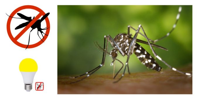 odganjalci komarjev