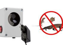 Kako učinkovito pregnati miši in podgane na human način? Tukaj so 3 načini.