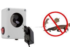 Kako učinkovito pregnati miši in podgane na human način? Tukaj so 3 načini.