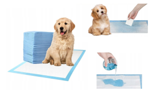 Zakaj je priporočljivo uporabljati higienske nepremočljive podloge za pse v stanovanju?