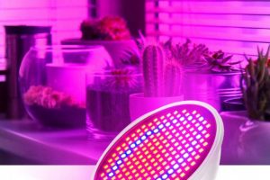Kaj so led svetilke za rast rastiln oz. grow lamps ter kako pomagajo pri rasti rastlin?