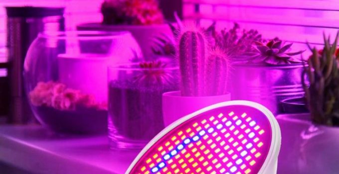 svetilke za rast rastlin
