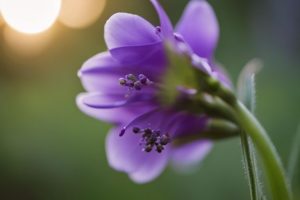 Kakšna je razlika med PVC vrtnim orodjem ter kovinskim vrtnim orodjem?